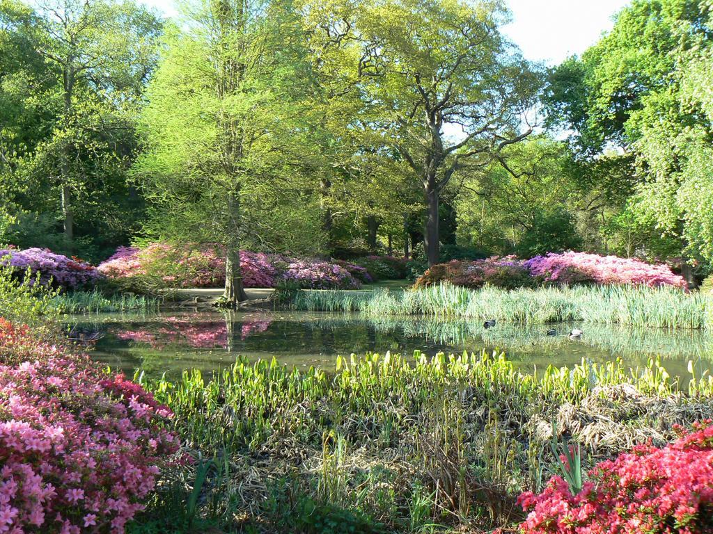 Londonhomegardens Ngoại thất bức ảnh